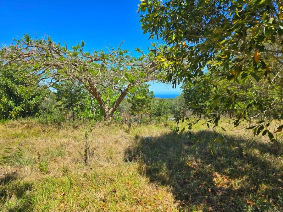 Commercial Property for Sale in Hoekwil Western Cape